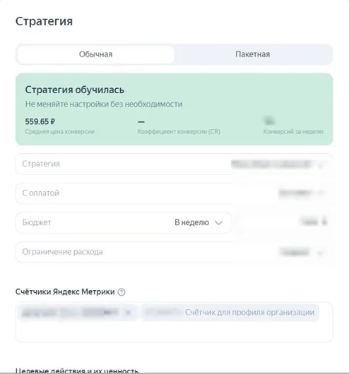 Рекламная стратегия: 559,65 ₽ за конверсию. Средний CPL проекта — 800–1000 ₽.