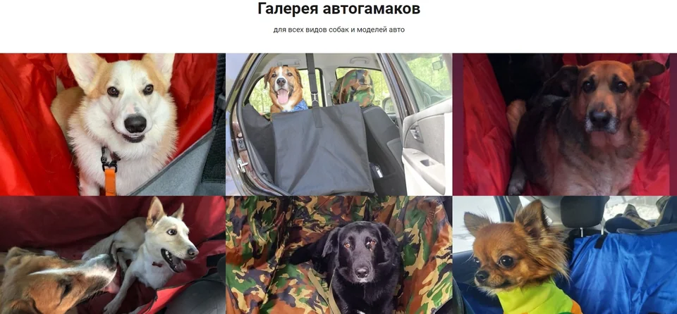 Фотографии автогамаков в использовании